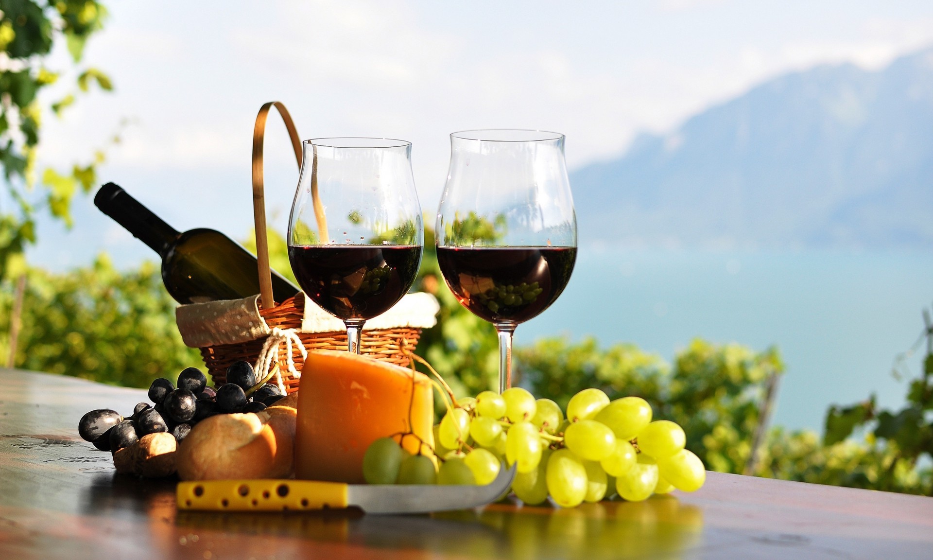Какое вино есть в Сочи: как выбрать хороший напиток